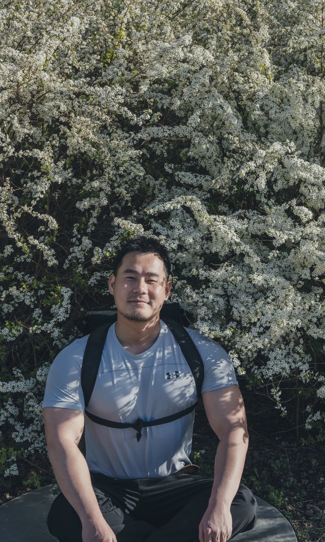 花开了，我刚好在