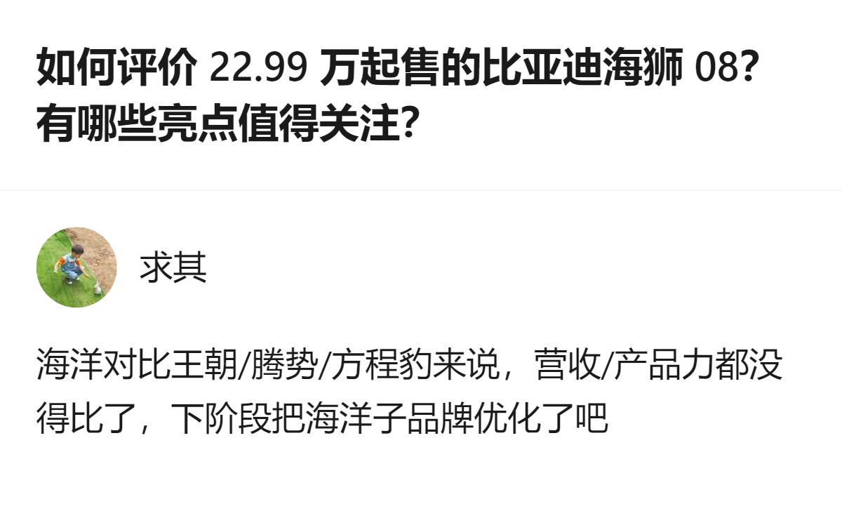 这事更值得琢磨的不是海狮08卖多少钱，而是有人拿它和王朝、腾势这些子品牌比的时候