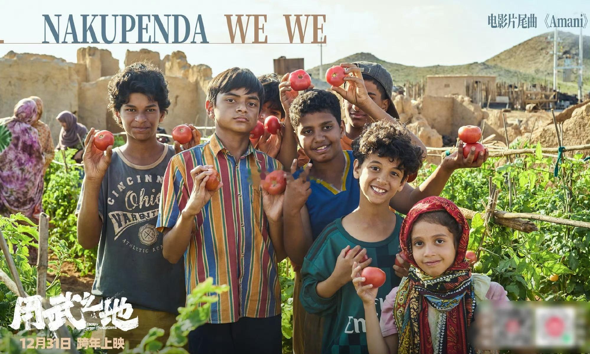 我们就是不管走到哪都爱种点地 这股子“种地瘾”太上头！跨越山海，也要让土地焕发生