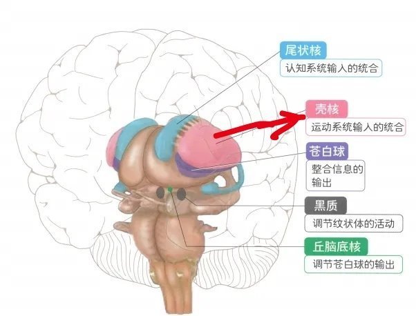 董宇辉看500遍大话西游是什么概念¹ 重点是周星驰反复确认，董反复回应：就是50