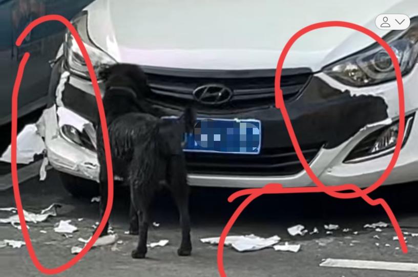 “快下来吧，你车被狗啃了”

10月1日傍晚，湖南吉首的马女士在家接到一个陌生电
