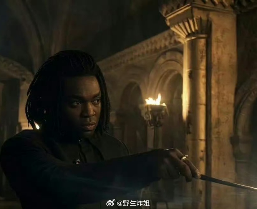 我什么都能接受 我唯独不能接受的就是斯内普变成了这个样子你让沈腾来演也行啊剧版哈