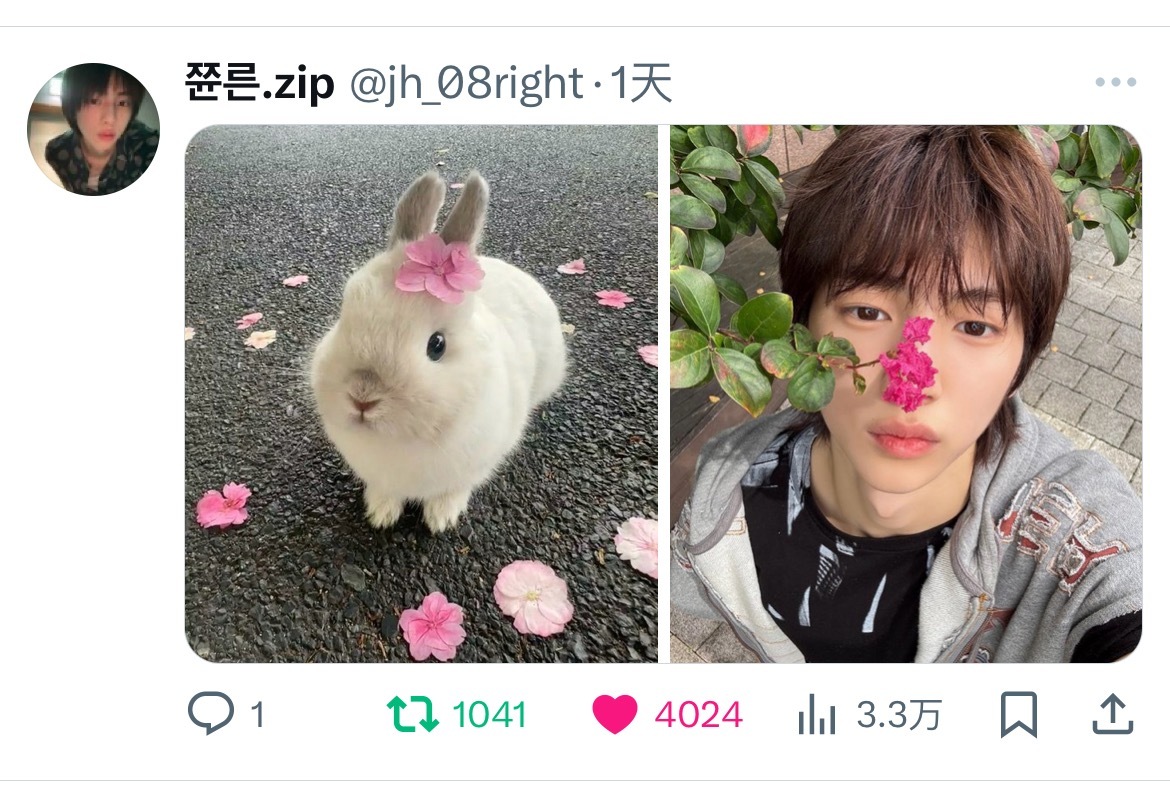 -心动是兔子的世界下起了萝卜雨 ᕱ⑅ᕱ