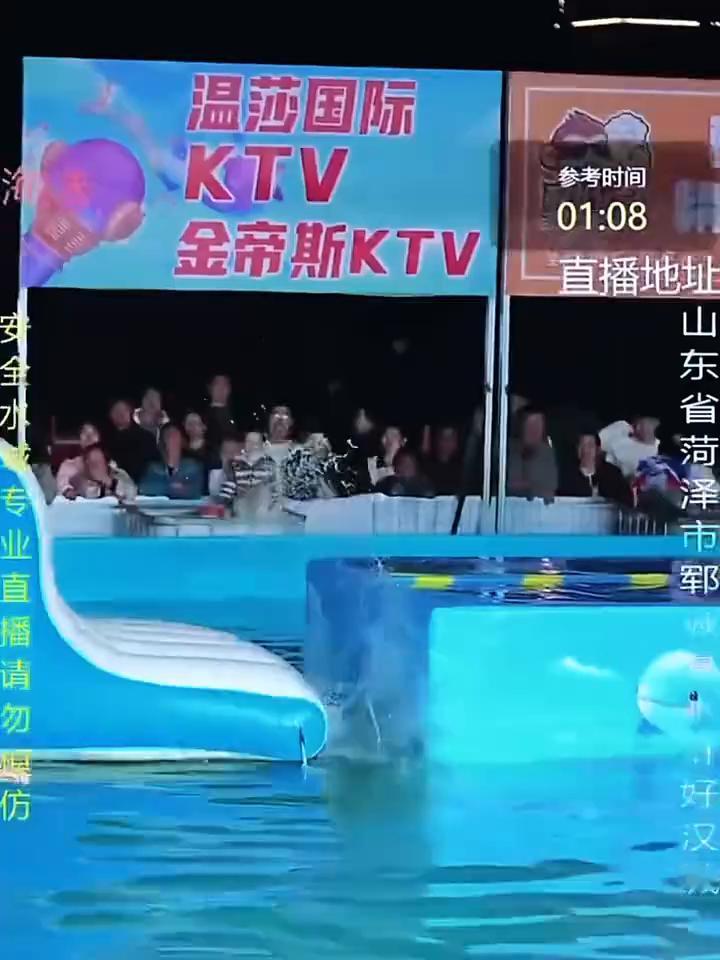 丝滑的像火锅里的宽粉，爱钻空子这一块，仇人看了心软，债主看了捐款，运气差到刮彩票