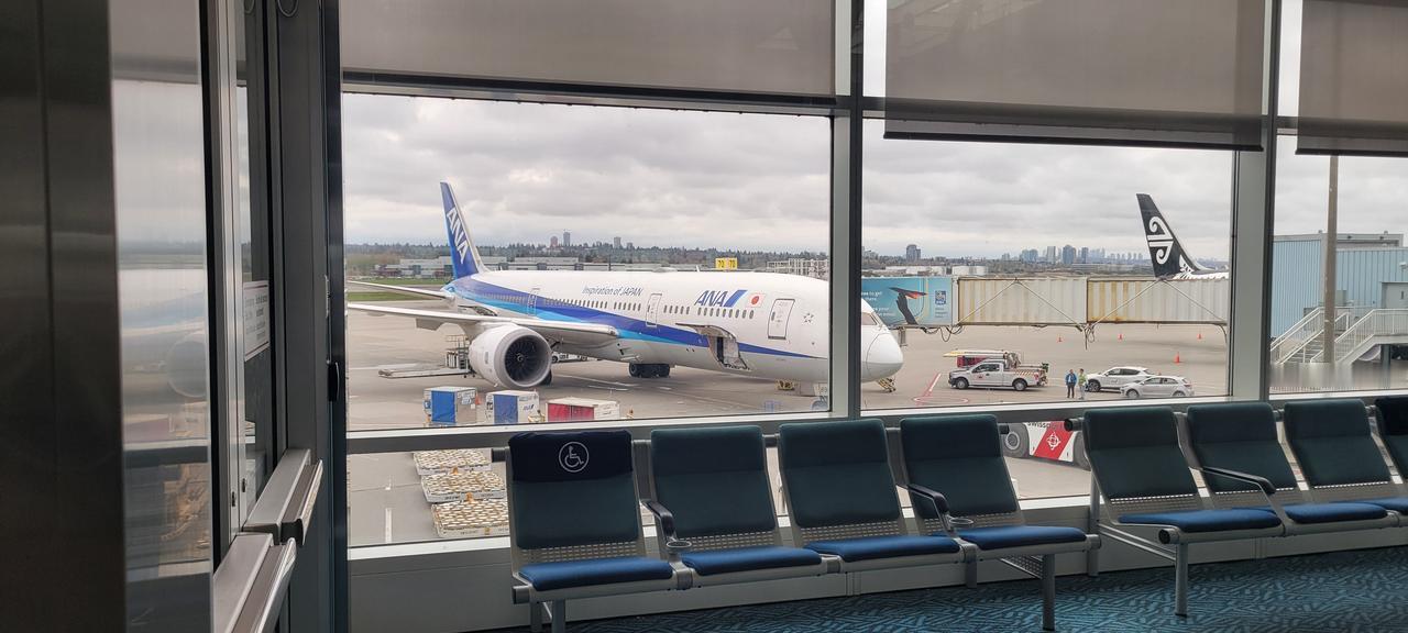 No English, 我是China!
坐全日空从日本飞加拿大，空姐说什么语？