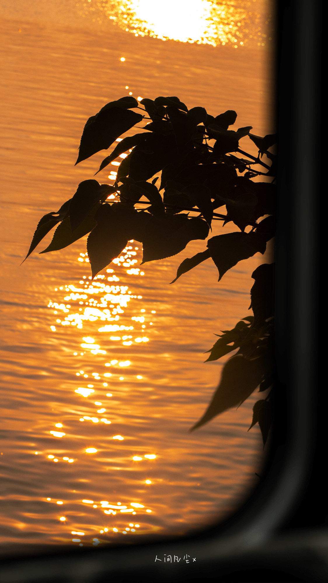 幸福不该是悬在终点处的奖赏它是道路中偶然乍现的光亮不必理会那些糟糕透顶的日子愿你