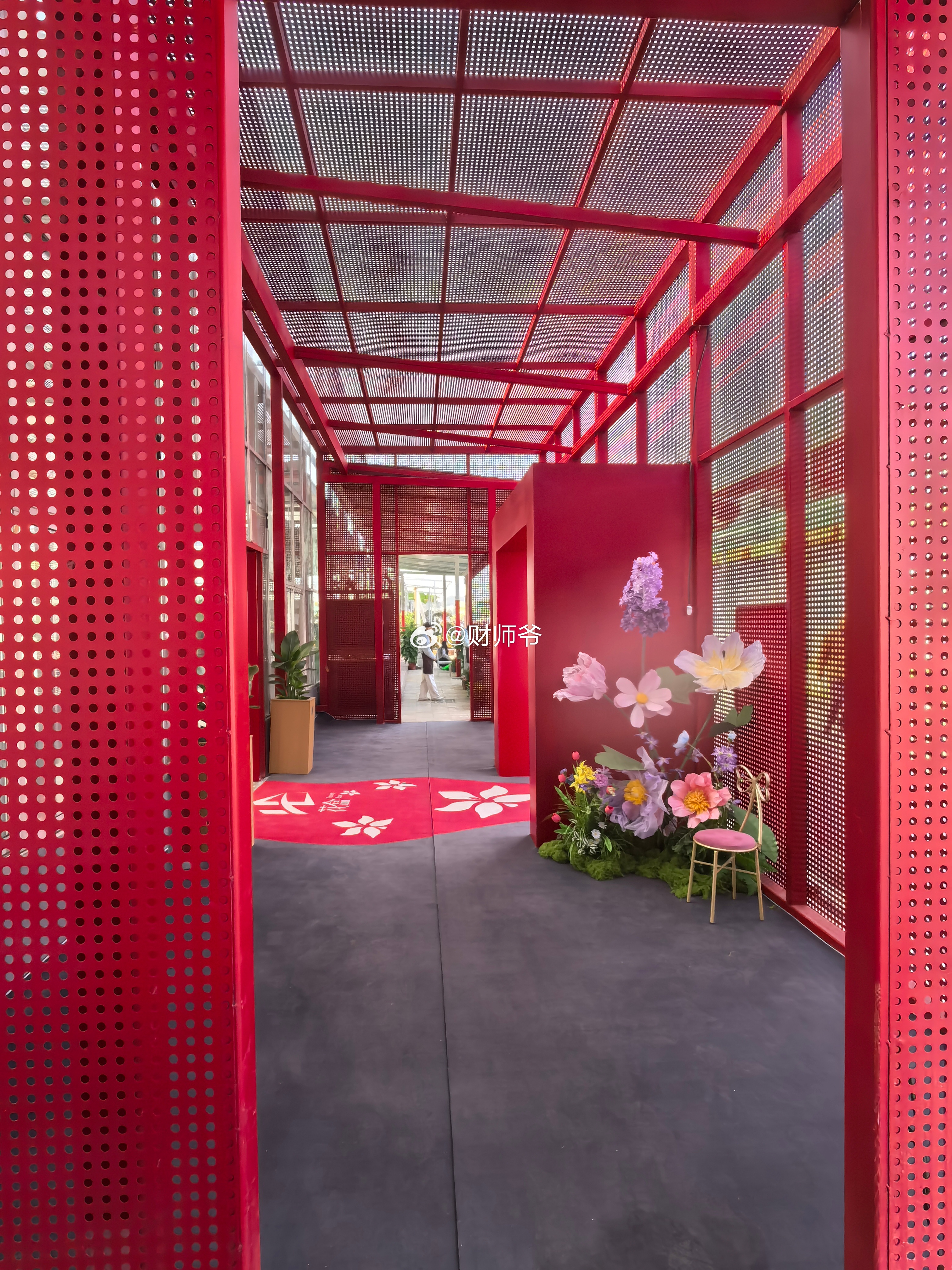 没想到，过完春节，还能在漓渚镇赶大集、看大戏、赏大花！兰花，是具有资本属性的一种