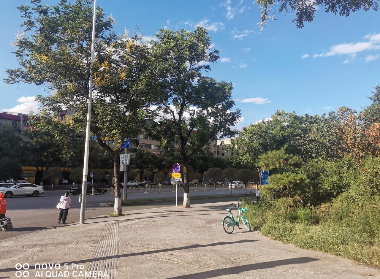 老规矩灵不灵？

同事突然热情？

背后藏着啥讲究.

最近听老人说不少老话，感