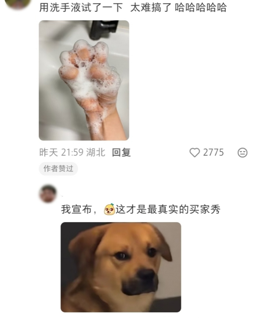 把手团起来就会获得一个猫爪 