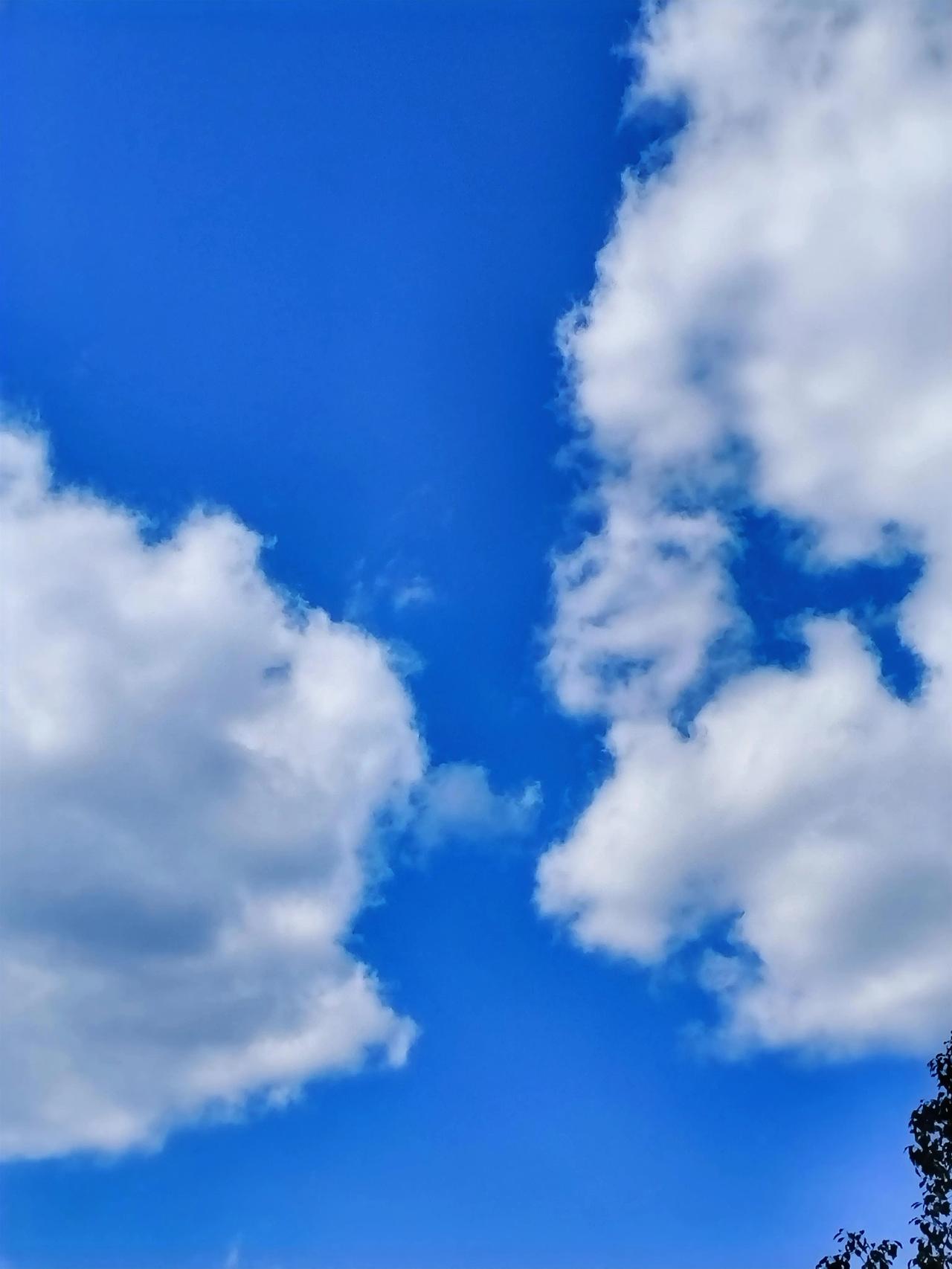 冬日生活打卡季 冬日里邂逅“白云幻影，透着灵气”，这意境太妙了。让我想起古诗《阙