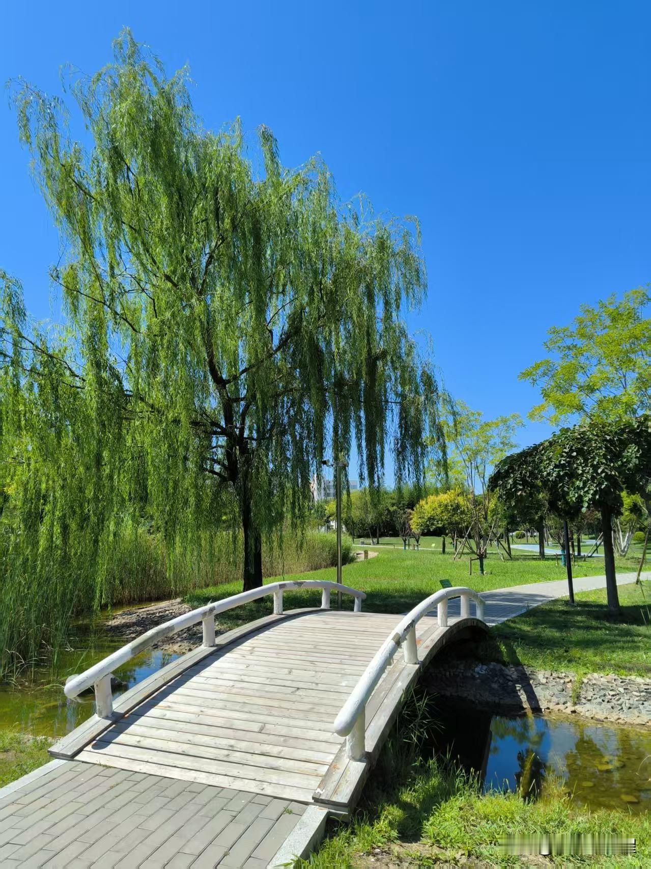 河西友谊北路，水晶宫饭店对面的友谊公园，是一个开放式公园。园内环境优美，绿树成荫