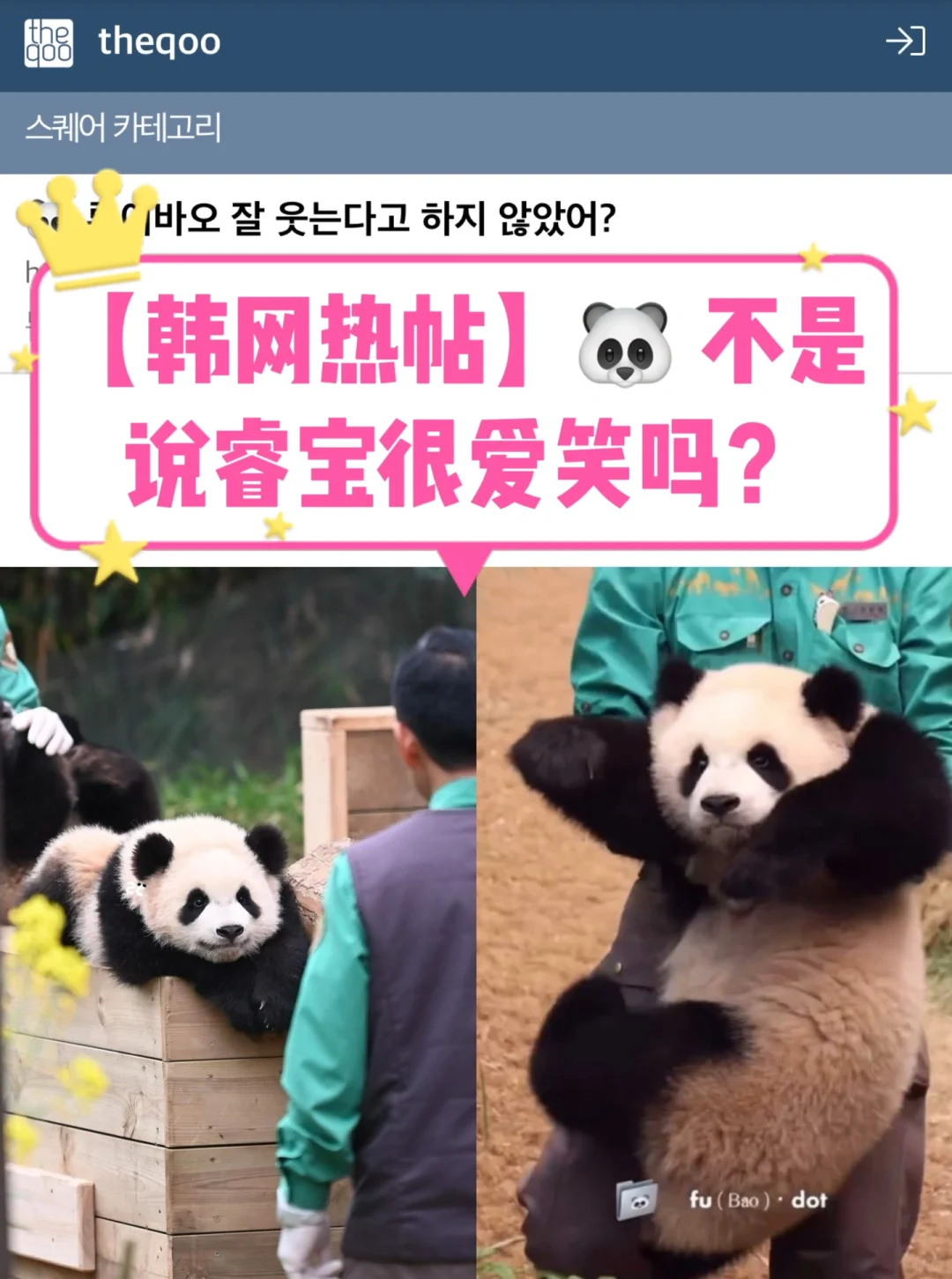 🔥韩网热帖｜🐼不想下班的睿嘴角和福宝一样