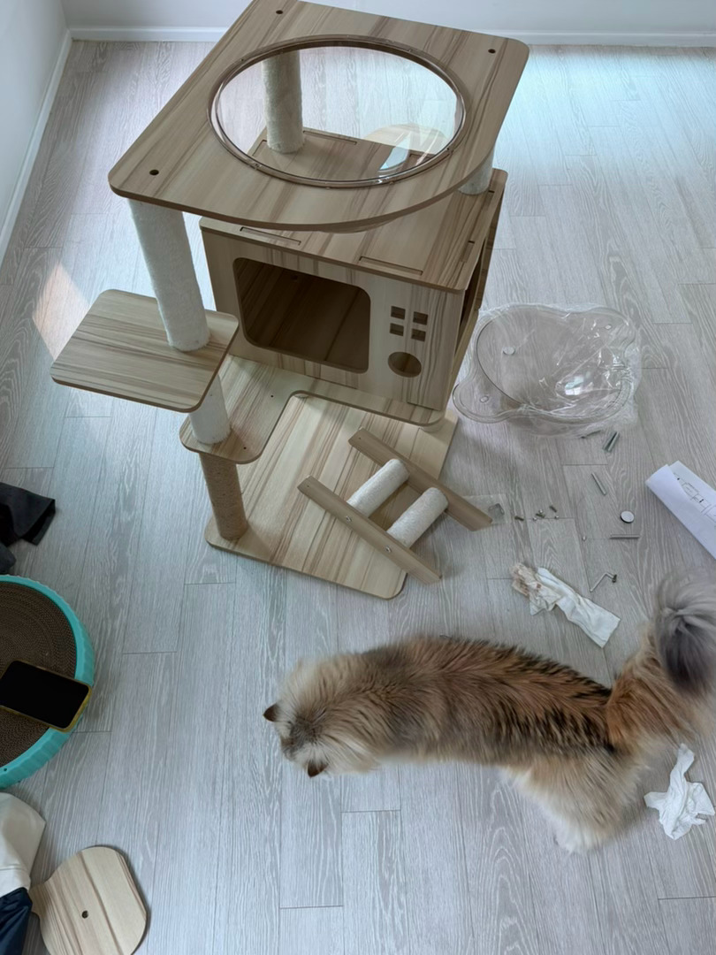 亡蛋了 买小了 