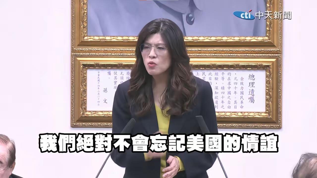 郑丽文说我们绝对不会忘记美国的情谊，美国是恩人，这就是国民党。国民党已经无数次证