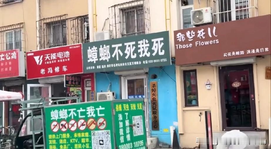 格局直接拉满，灭虫界最有血性的招牌没有之一