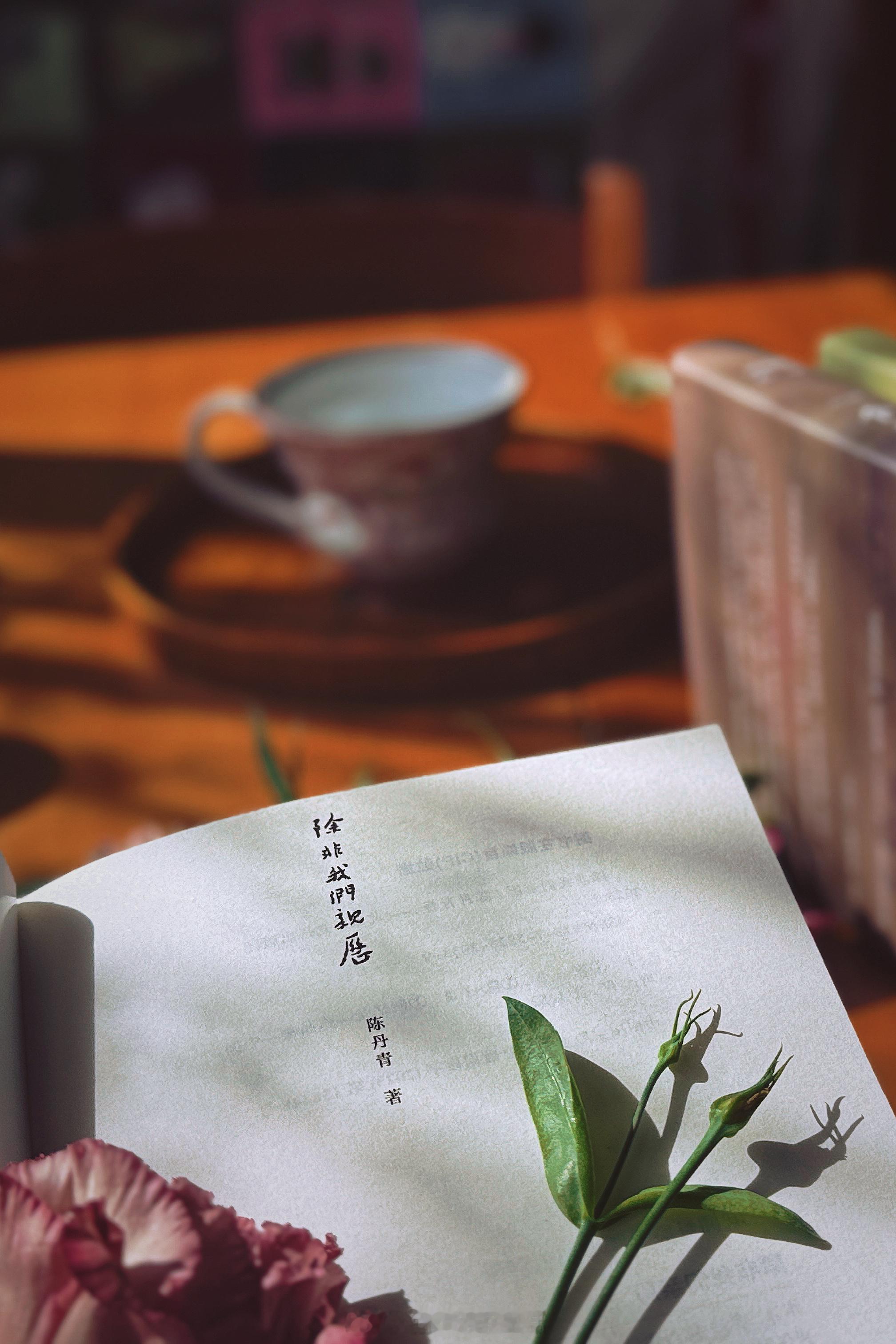 🍂前几年淘到的（热米饭）盖碗真的好用，剩米饭微波炉一分钟，米饭如同新做的口感。