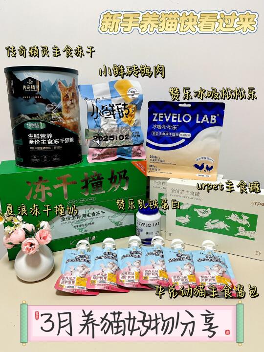 🛍️🛒快来看看三小只三月有什么好物分享吧