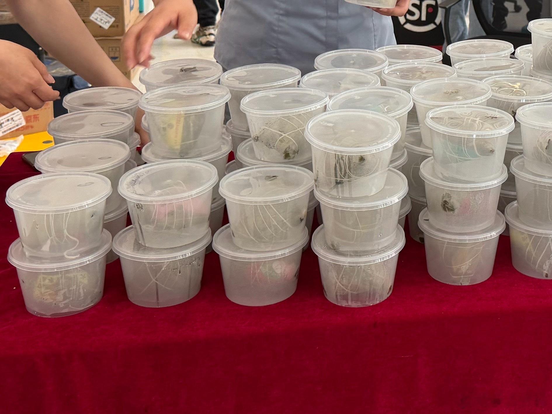 公司楼下免费发粽子，领了一个燕麦八宝粽，你们端午节喜欢吃肉粽还是甜粽