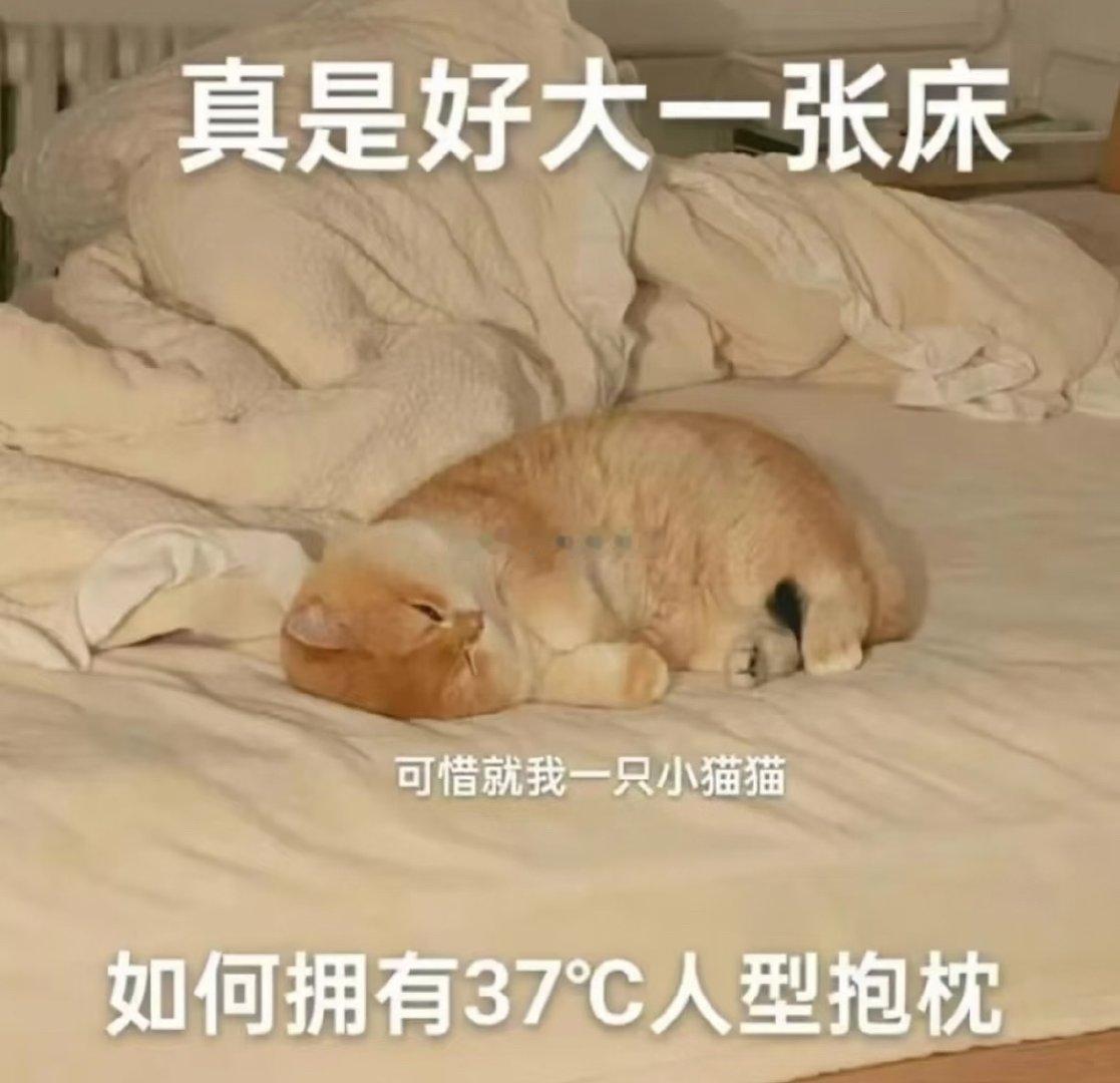 不知道为什么这几天格外困，可能是前几天和🐺do太多次了嘛真的要克制起来了现在～
