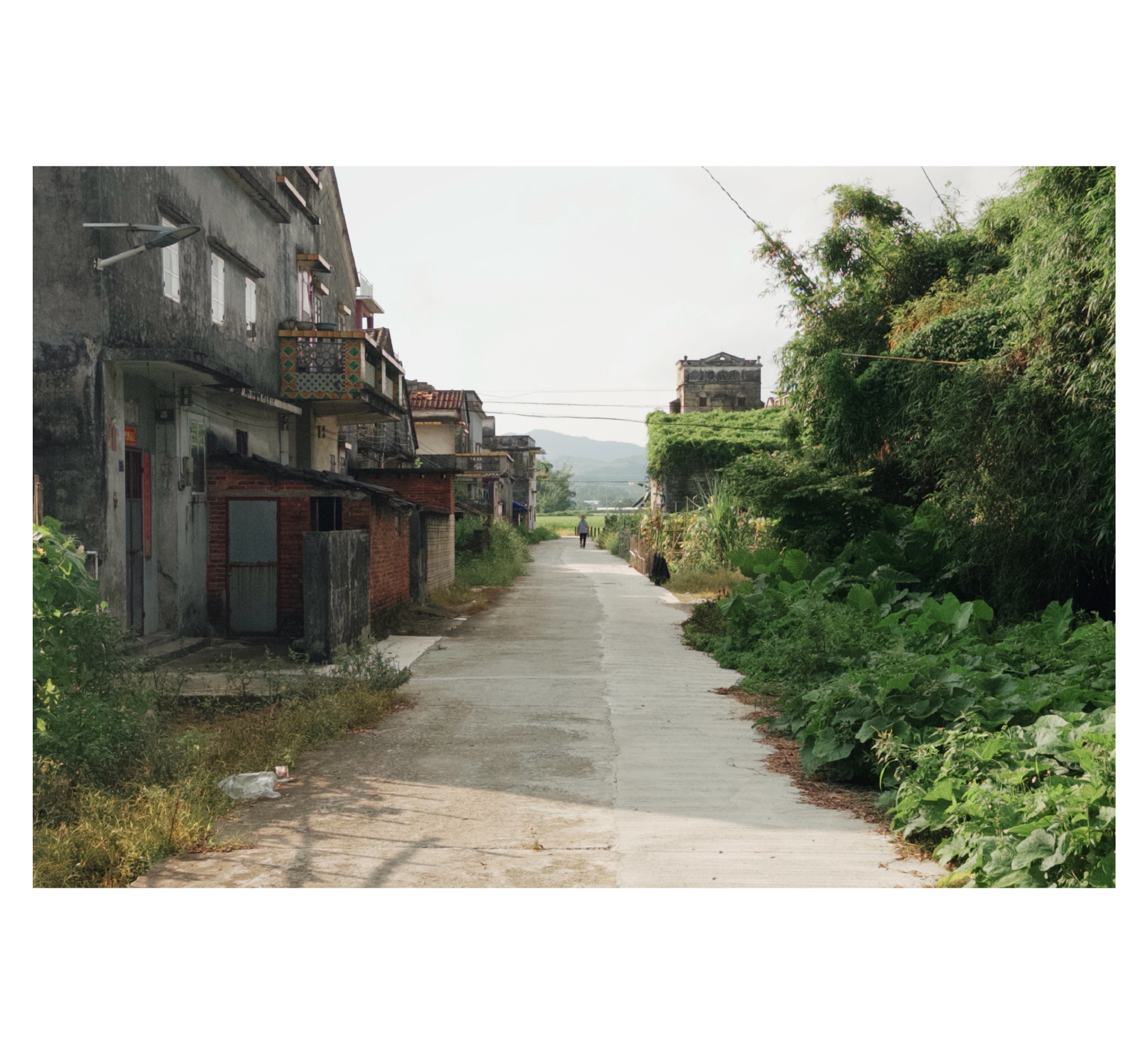 每日一善 阳光信用   人有善愿，天必佑之。――清《增广贤文》人之为善，百善而不