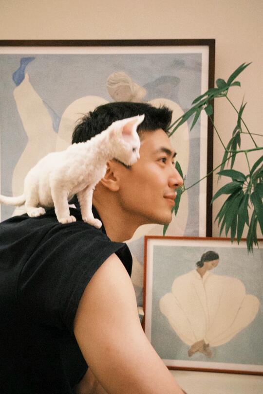 猫好人坏