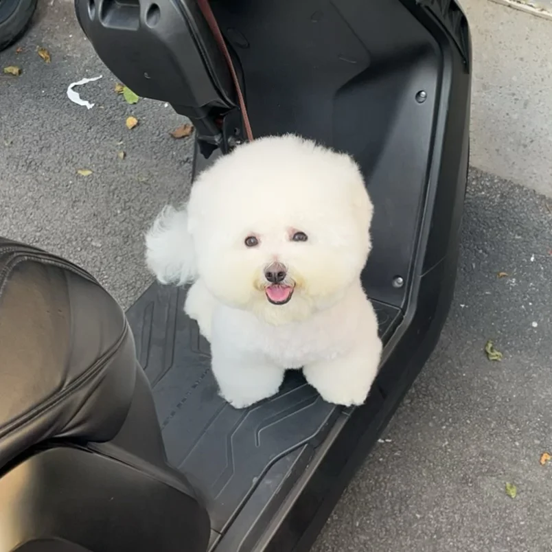 能一样吗？