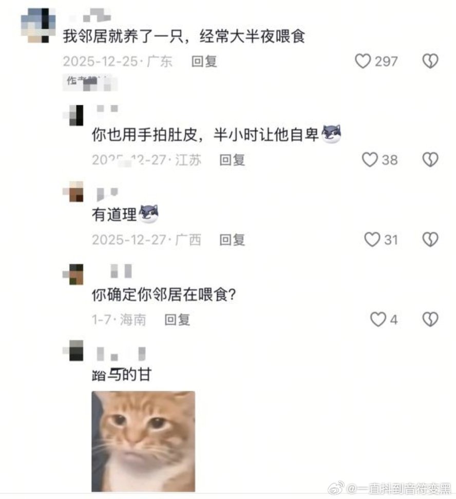 原视频是饲养员在喂海豹 海豹拍肚皮 