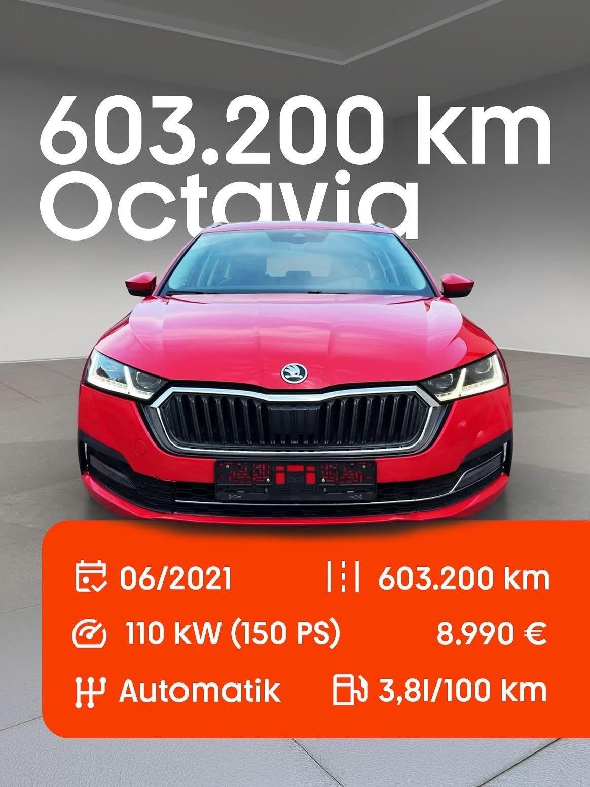 4年跑了60万公里的柴油斯科达Octavia，还卖8990欧[允悲] ​​​