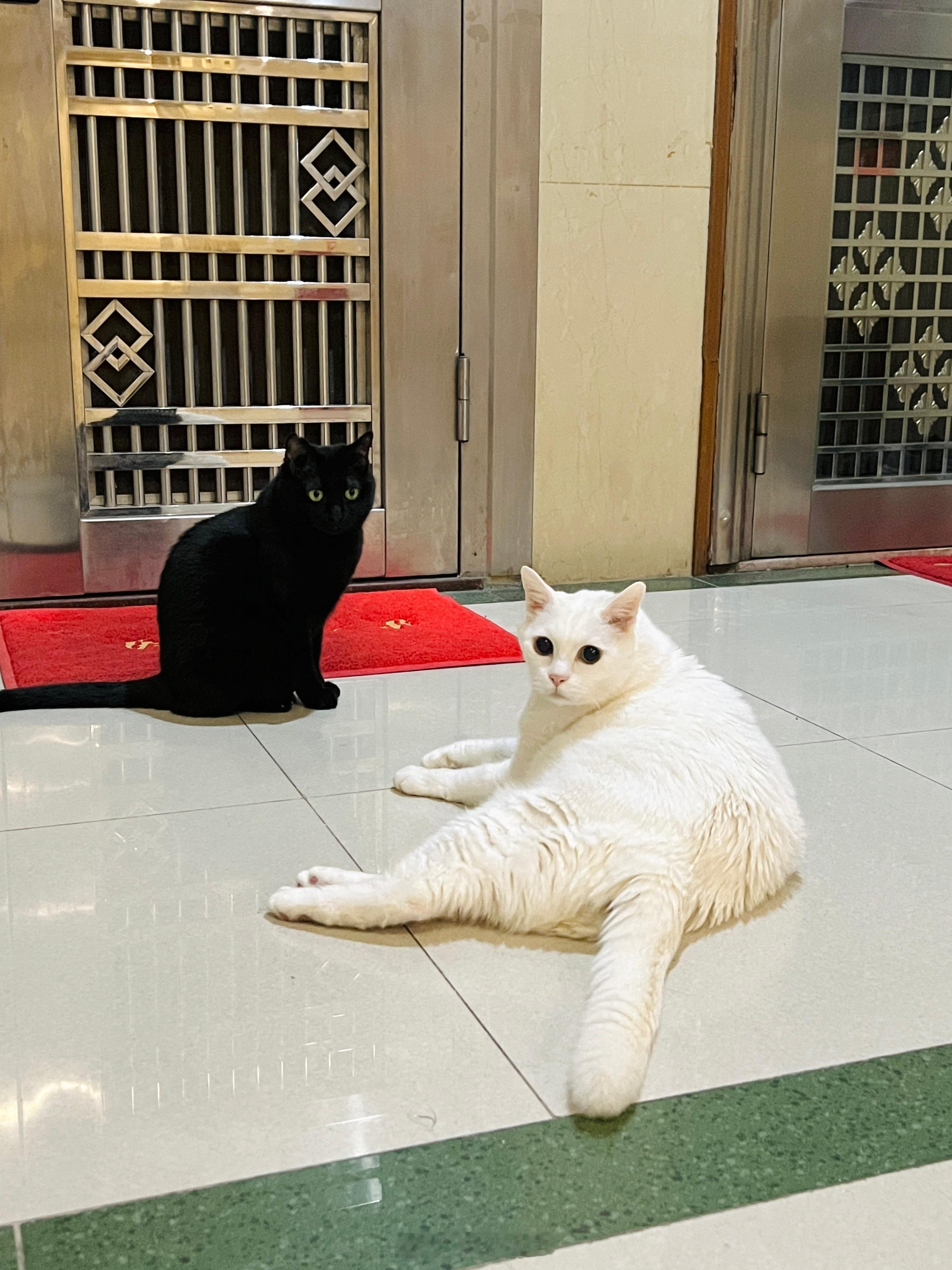 在別人家門口合影。 ​​​