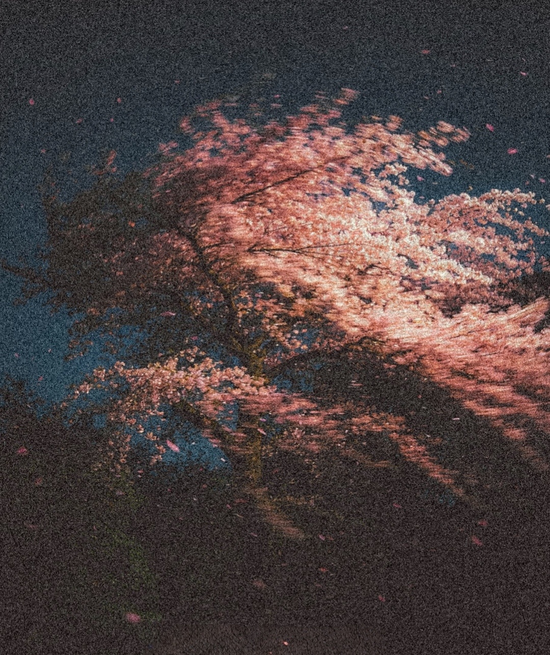 风落下来，为万物翻一页序章。 