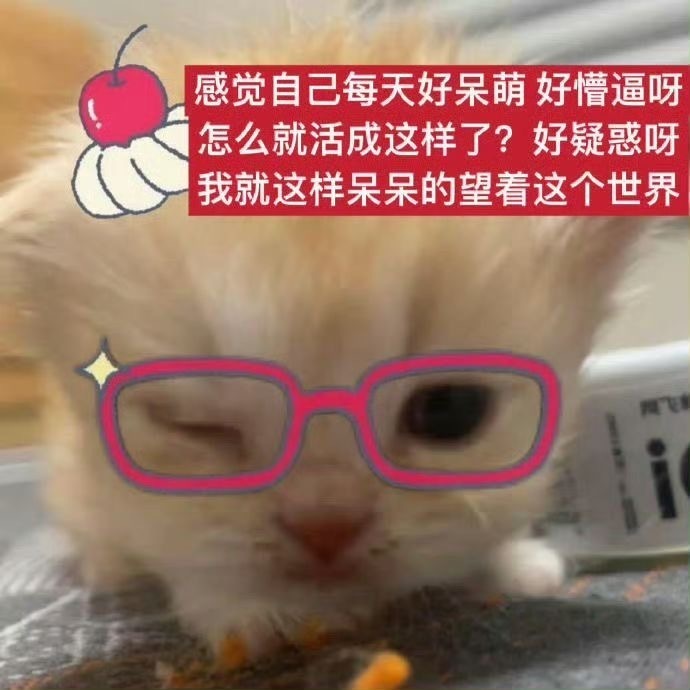 分享图片 