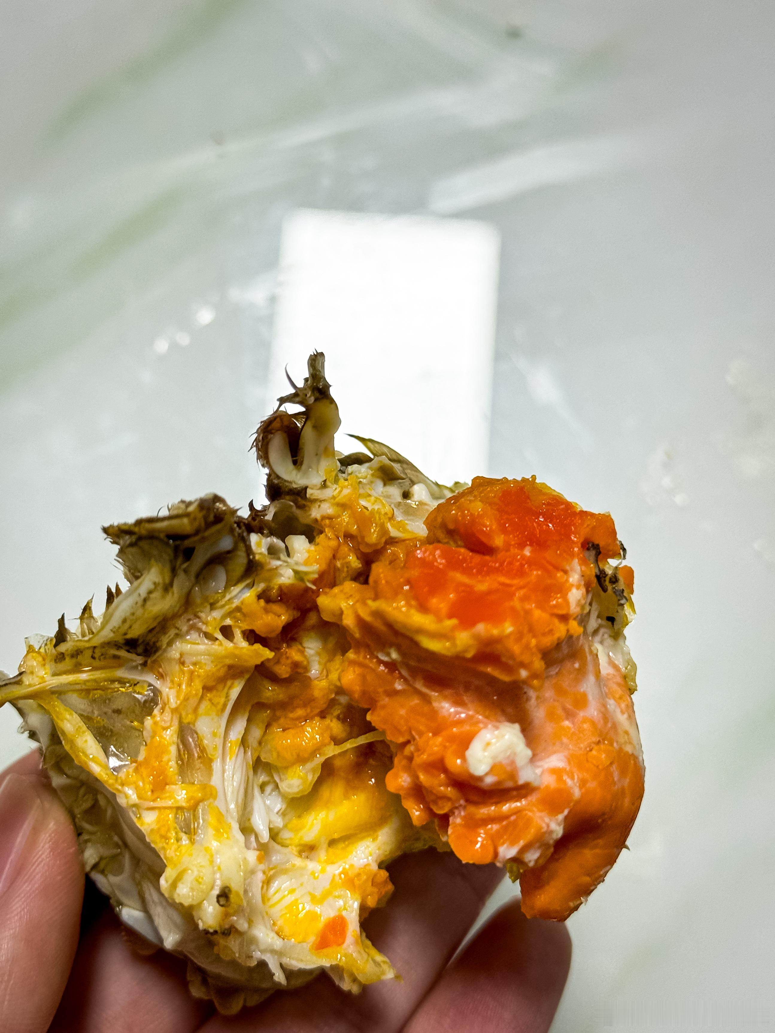 老家螃蟹确实很可以，这二月份的黄比国庆时还满。 蚌埠