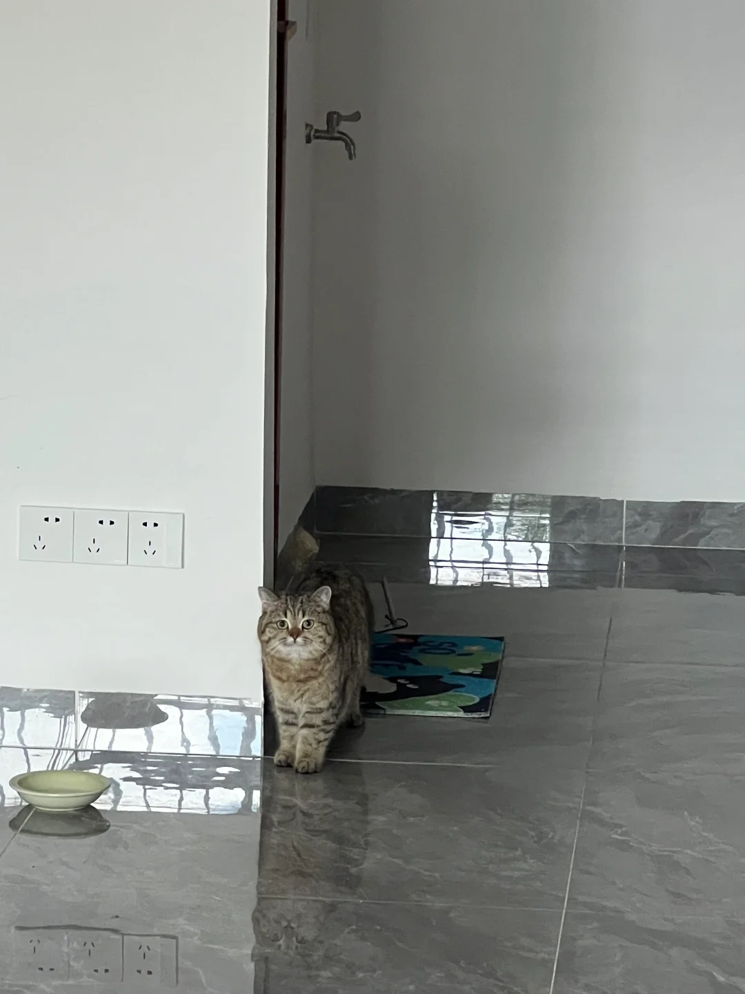 平等得守护家里所有人上厕所🚽