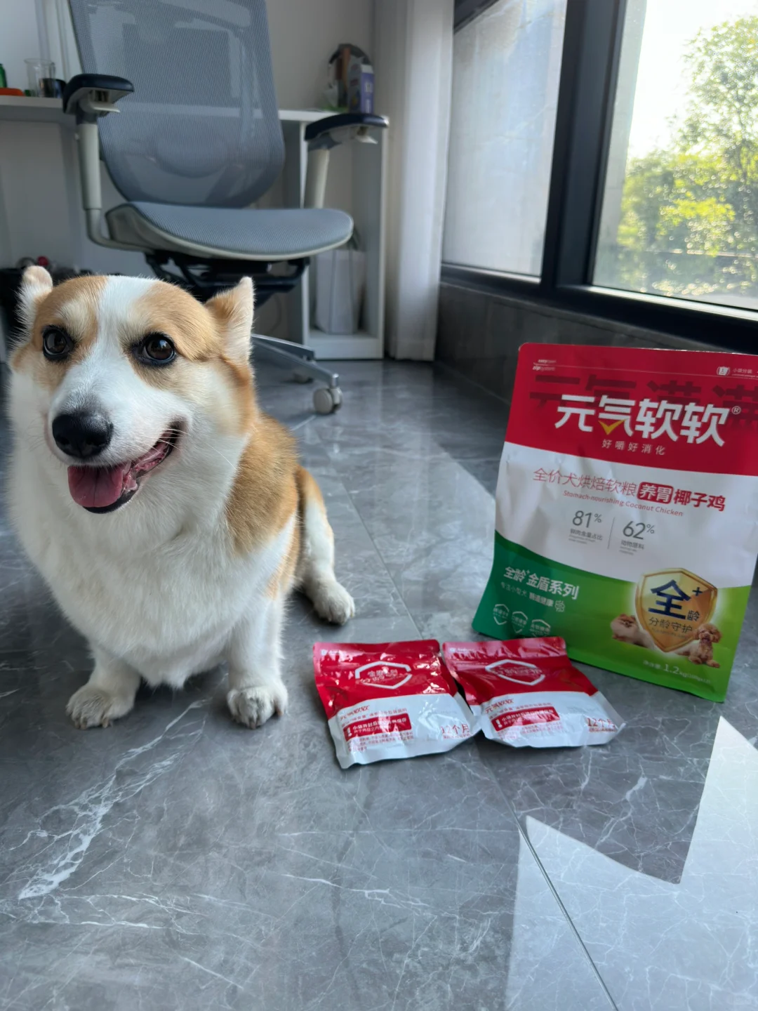 ✨🐶元气软软狗粮-宠爱妹妹的干“饭”时光👑