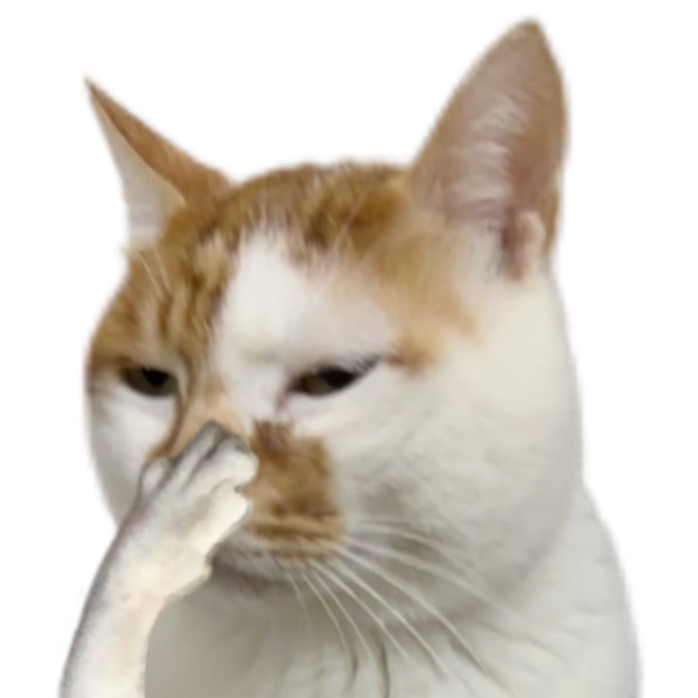 年薪千万的人，问我们这些年薪几万的人该怎么选择？我能给出的答案是不想选就把机会留