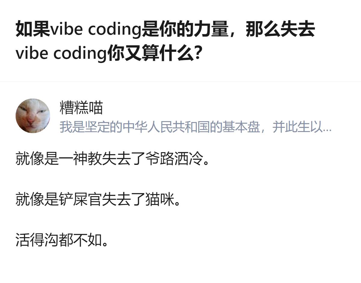 vibe coding根本不是什么“新魔法”，说白了就是会写代码的人用它省时间，