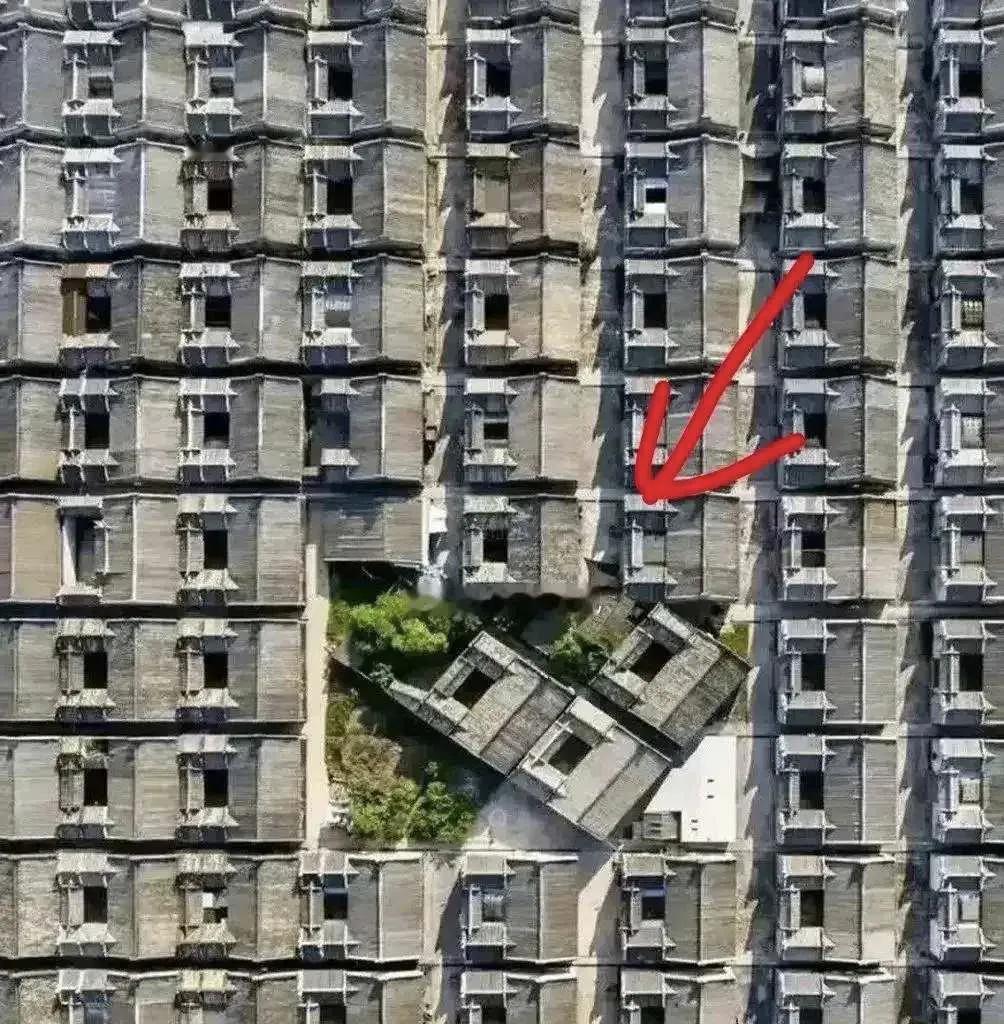'我自己做主，买了辆小型电车。由于开油车油耗高，我心疼油钱。第一天看车时，我便擅