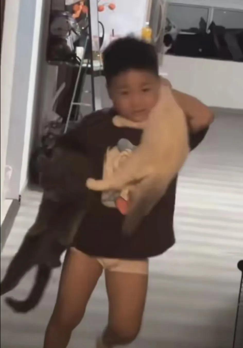 被这个安徽蚌埠地震中抱着两只猫逃生的小男孩感动了！
得知地震的第一时间不忘自己的