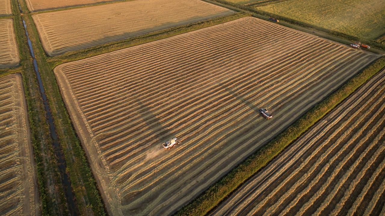 古巴外交部：中国完成对古巴的3万吨大米的人道主义援助供应

俄罗斯卫星通讯社 2