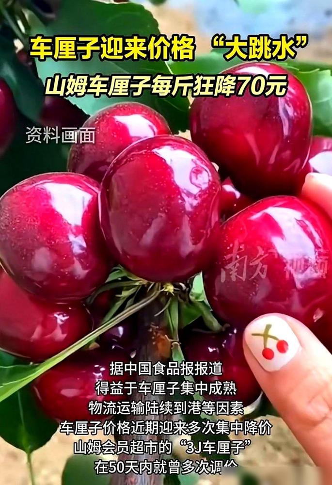 我的妈呀，去山姆，眼珠子都快掉出来了。

3J的车厘子，一斤，直接降了70块！你