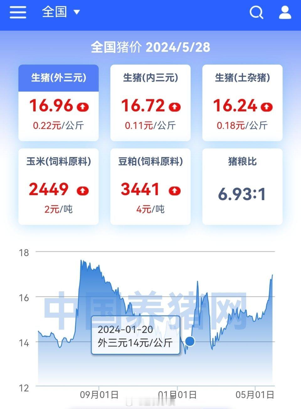 猪价又是大涨 ​​​