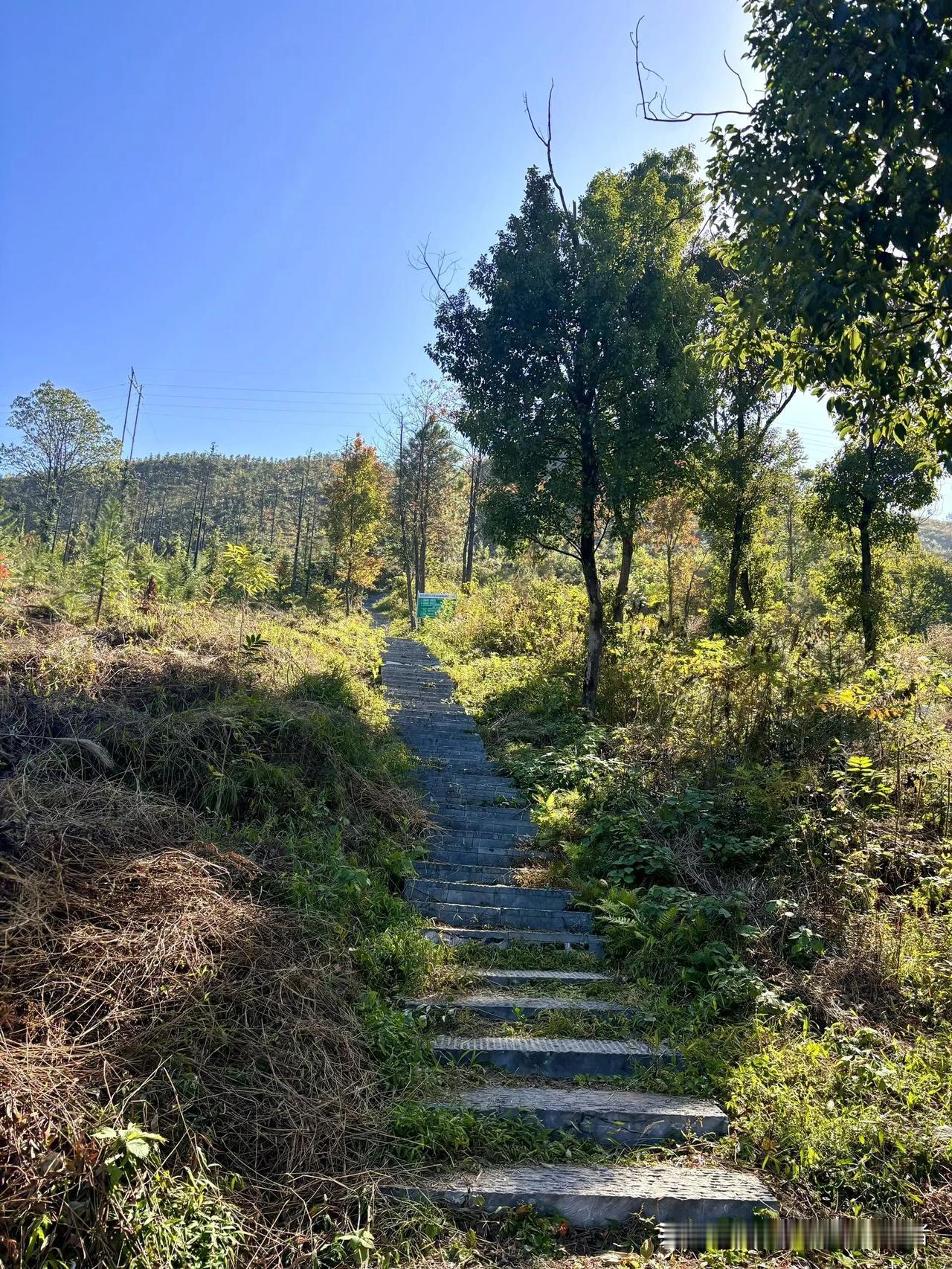 懒和穷哪个更可怕？
 
我投懒一票！穷顶多是兜里没钱，咬咬牙搬砖、学门手艺，总能