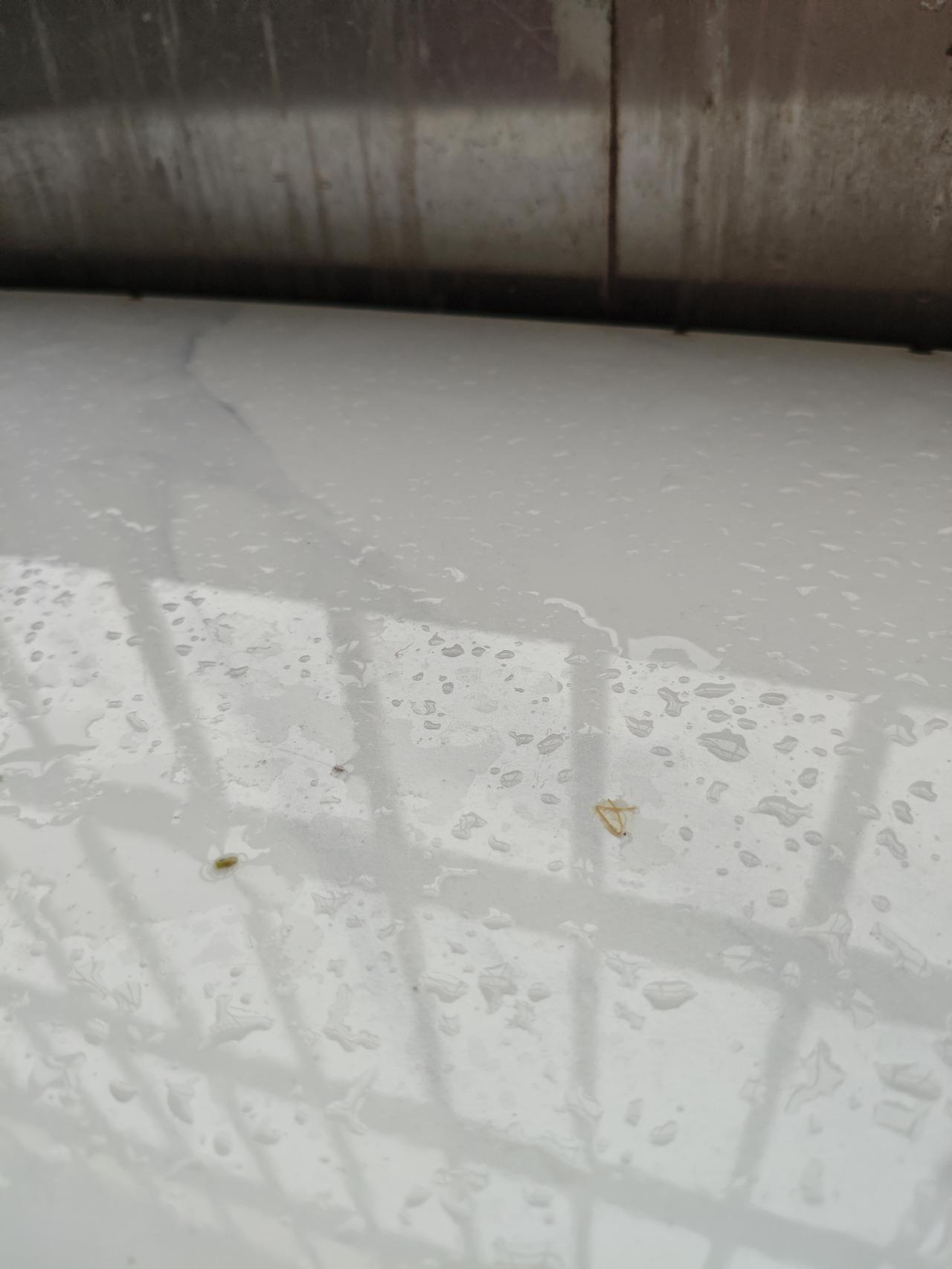 你那边天气热不热这几天深圳每天下雷雨，还伴有大风，湿度也很高，气温也降下来了，最