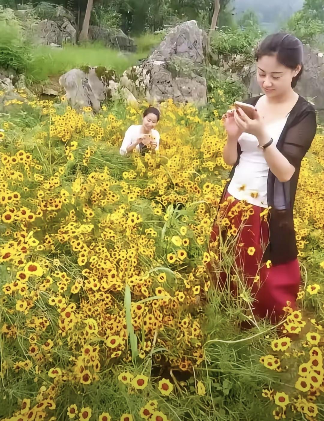 四人吃饭，500块到底够不够花？，老板娘塞了钱就走了，，我盯着手机收款提醒发了会