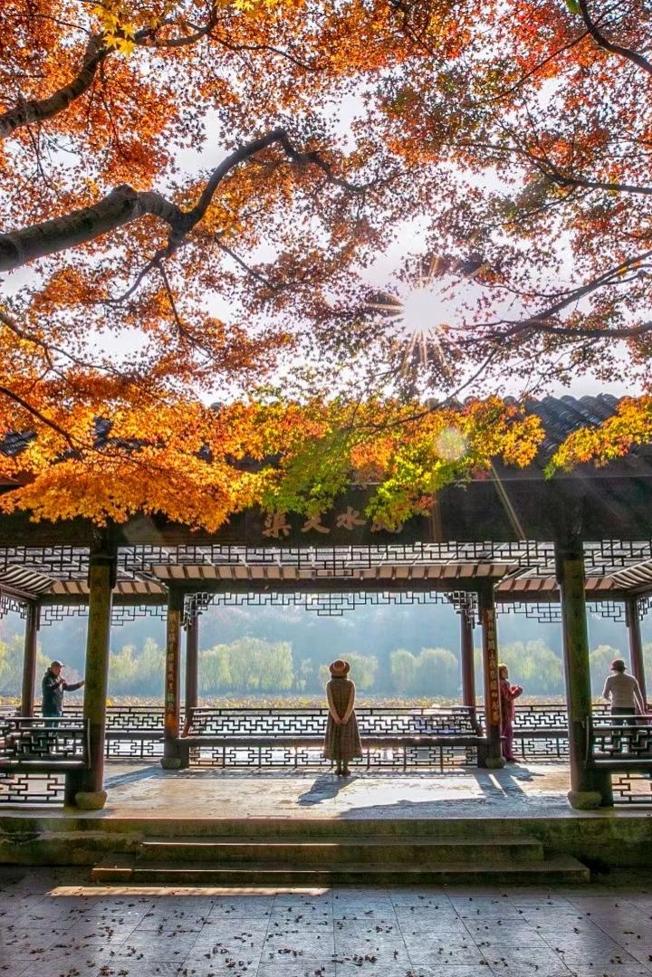 杭州2日游攻略❗️7个不可错过的绝美赏秋地