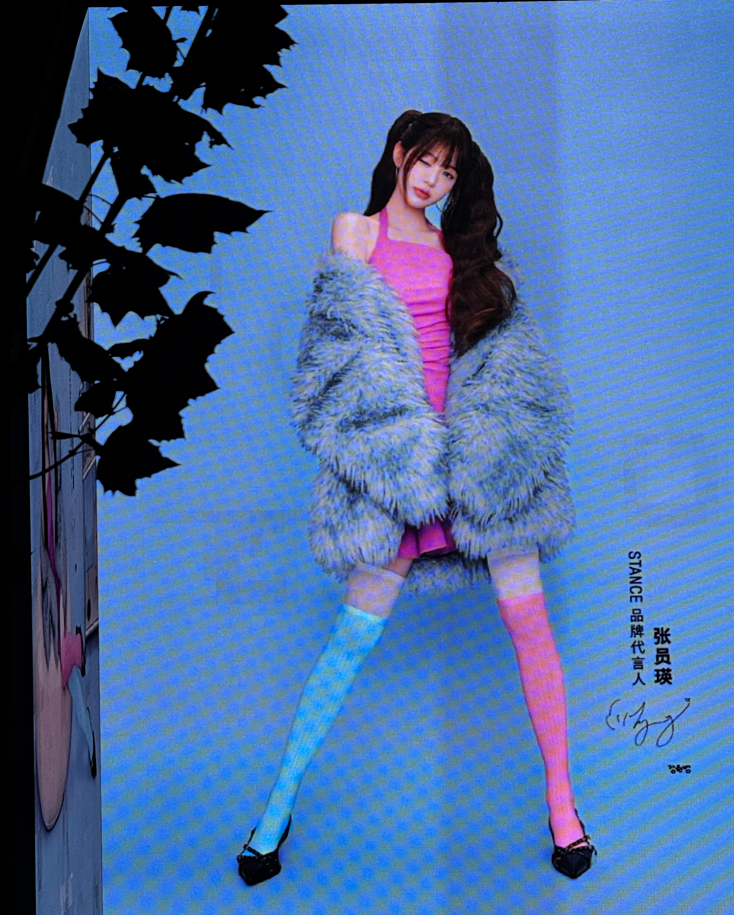 南京stance张元英大屏特别美特别大特别爽呀！​​​