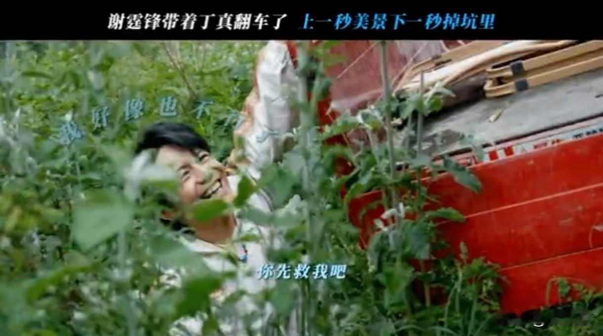 谢霆锋带丁真茶马古道翻车！三轮车冲沟里，四年“仇怨”笑料再升级！
 
谁能想到谢