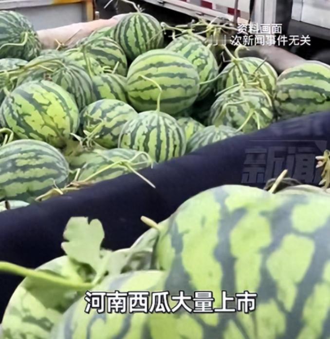 河南，一男子看到老家西瓜大丰收，拉了18吨到北京，想帮瓜农打开销路。定价8毛一斤