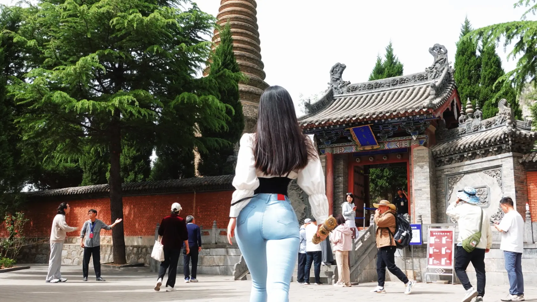逆鳞既触，天安何命——黑神话悟空