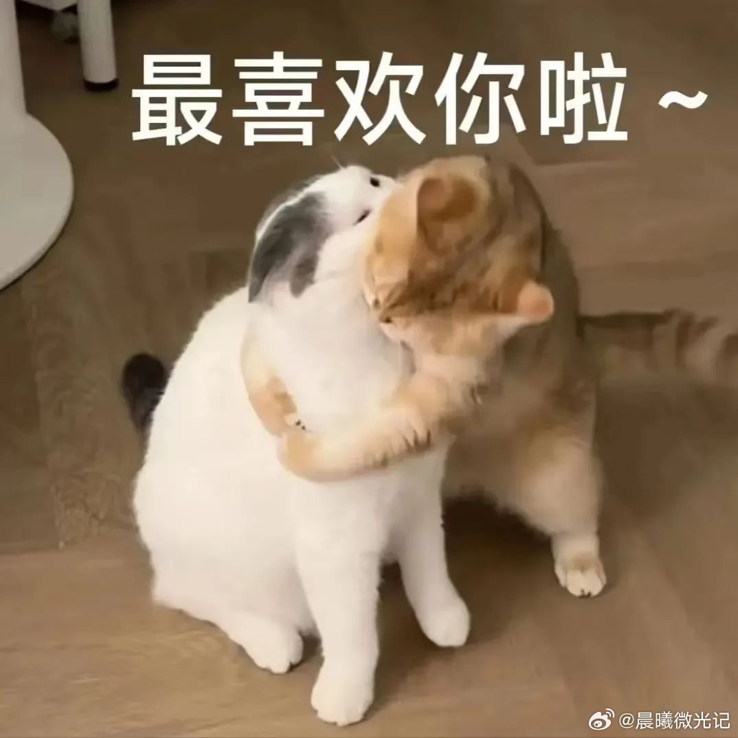 周末我就这样提升幸福感窝在地毯上拼拼图，阳光从窗帘缝里钻进来，在拼图上投下细长的